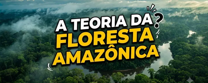 文章封面:Segredos do pulmão do mundo