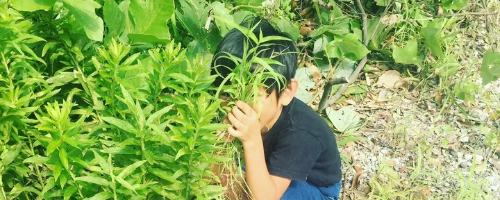 文章封面：元気に育ってくれたらそれだけでいいです。について考える。