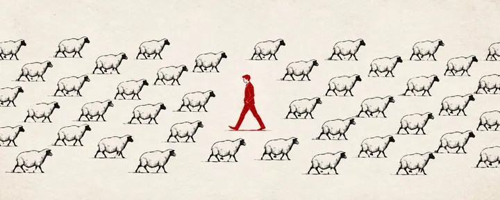 文章封面：How to be a leader (in a world of sheep)