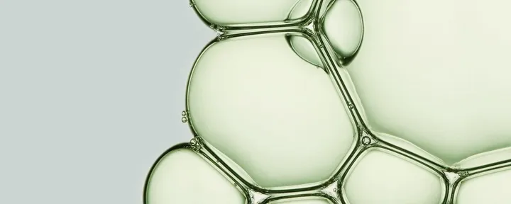 文章封面：Unlocking plant DNA in hours, instead of years