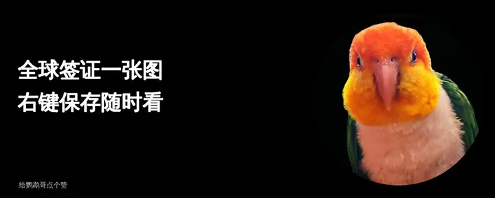 文章封面：一图搞完全球签证：收藏保存点赞结束