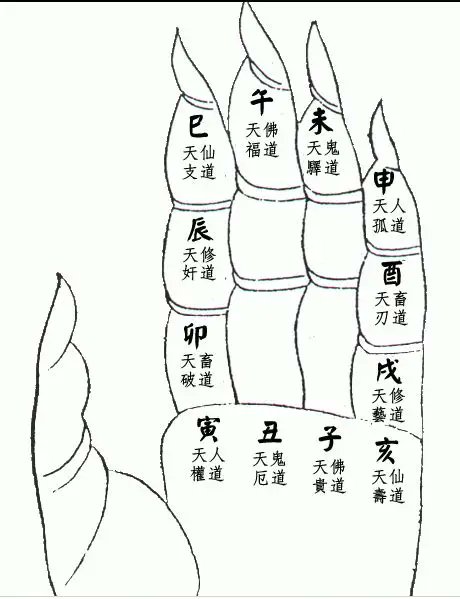 文章配图