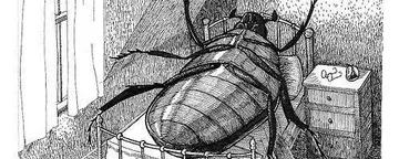 文章封面:Cockroach Maxing in Crypto