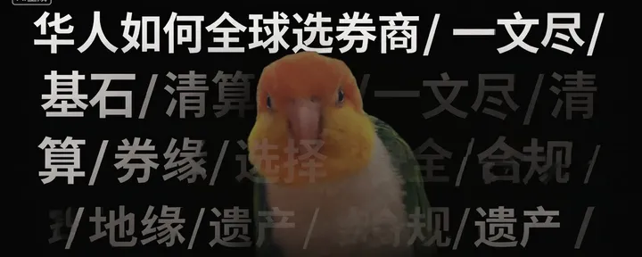 文章封面:华人如何全球选券商/一文尽/基石/清算/券商/选择/地缘/安全/合规/遗产/老规矩/收藏/存图/鹦鹉哥手搓/