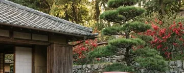 文章封面:特斯拉宁波审厂:拓普、三花、均胜、绿的谐波、鸣志电器收益时序与规模