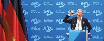 文章封面:Anonymous hackers claim to leak 421,179 internal emails from Germany’s Russia-aligned AfD